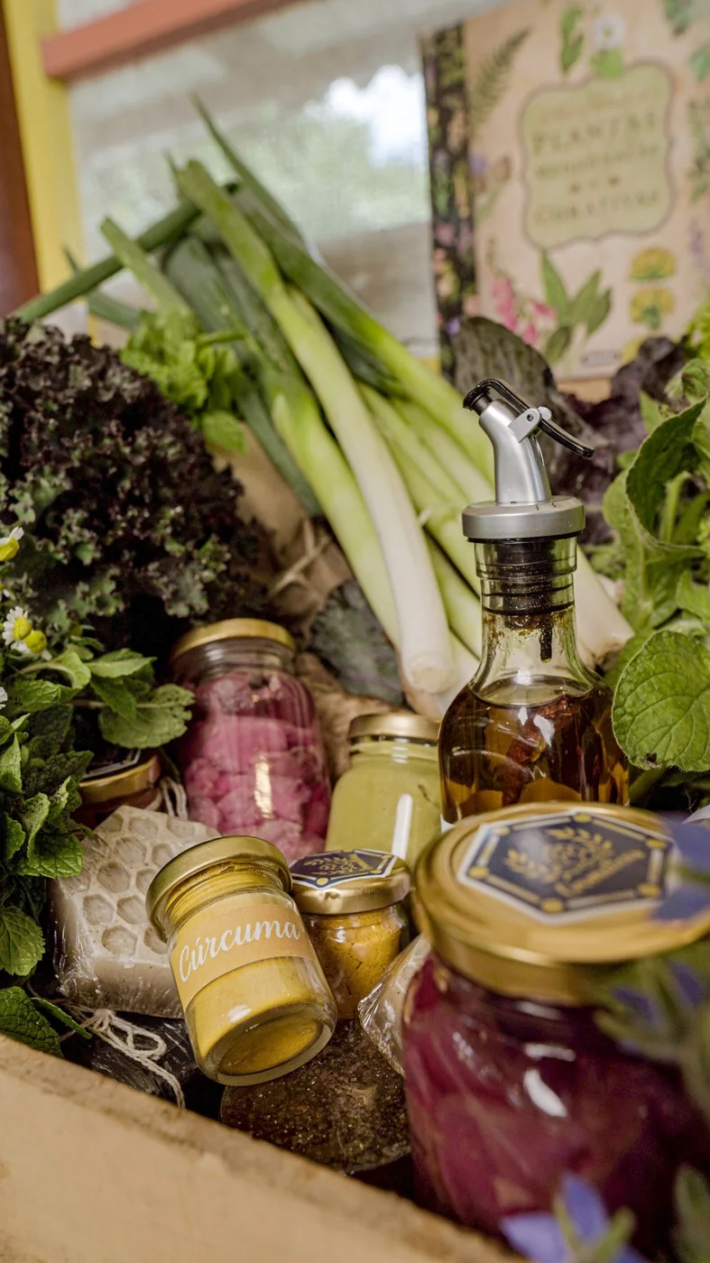 Canasta con fermentos, kale, puerro y cúrcuma recién empacados